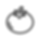 harvest_tomato (1).png