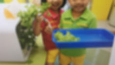 20191108東華三院王胡麗明幼稚園.jpeg