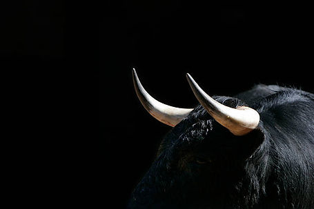 gettyimages-133962253-612x612.jpg