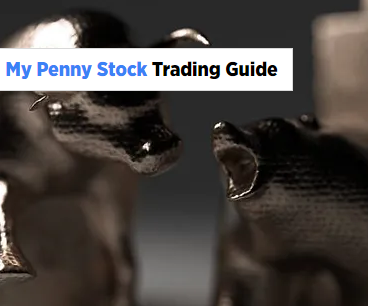 Wix-Website-Editor-GPSM-Stock-Alerts (5).png