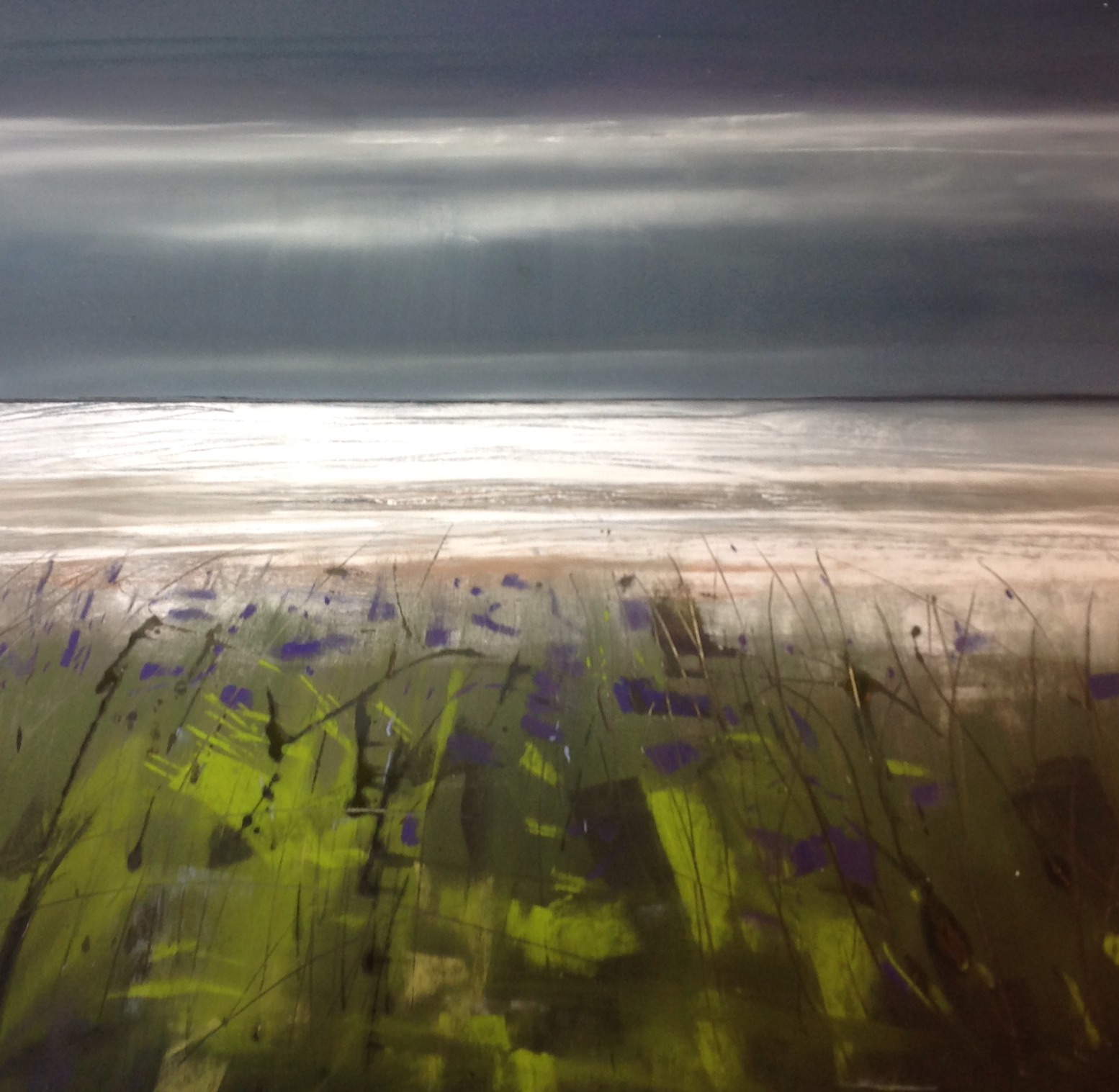 Allonby bluebells