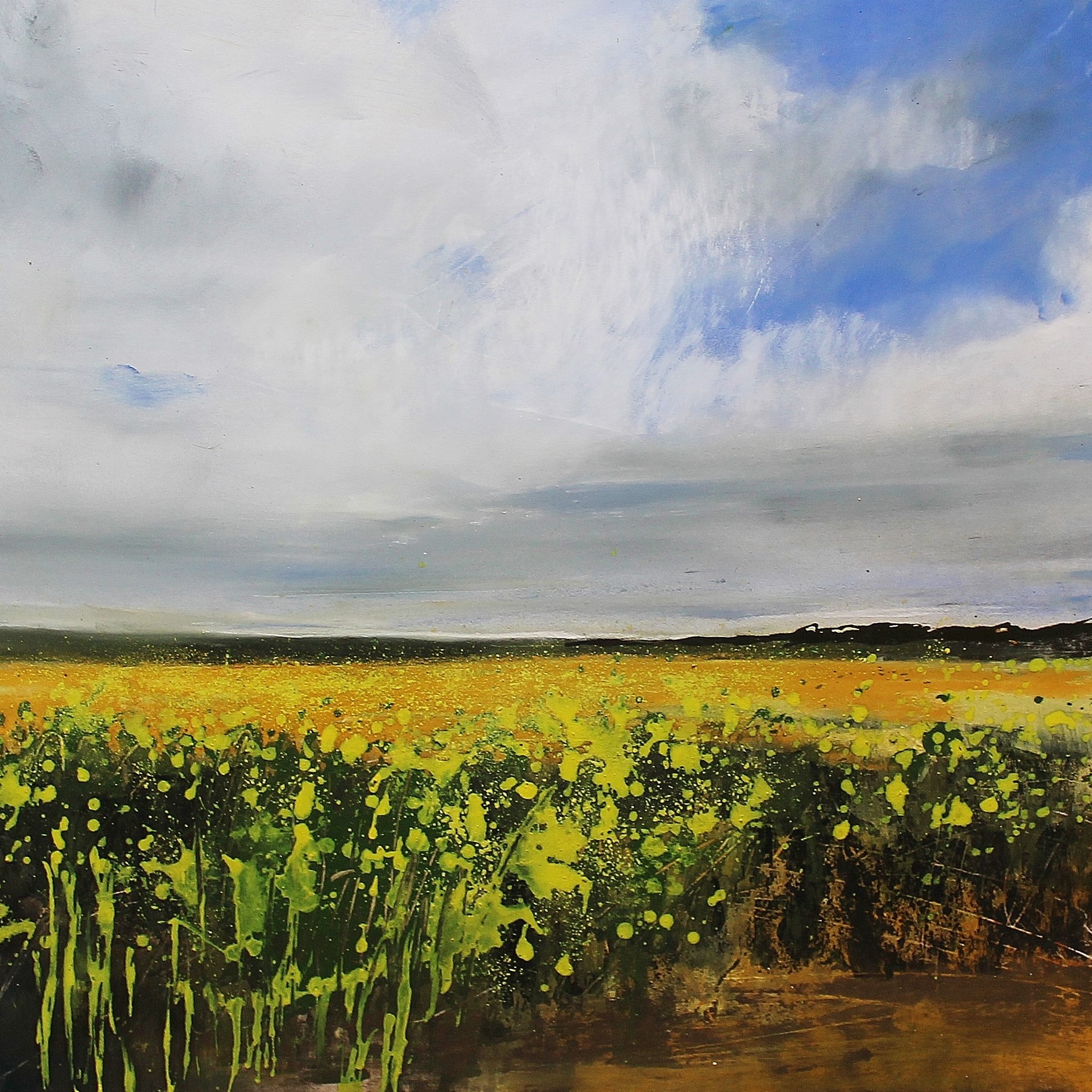 A Field Of Rape Seed, Allerby