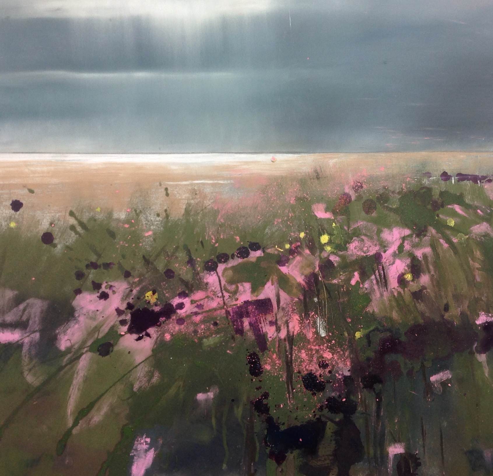 Shore pink