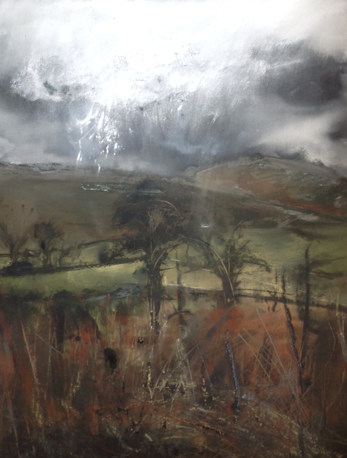 Wet Fell Side