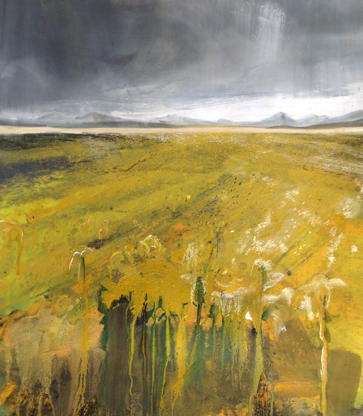 Harris machair