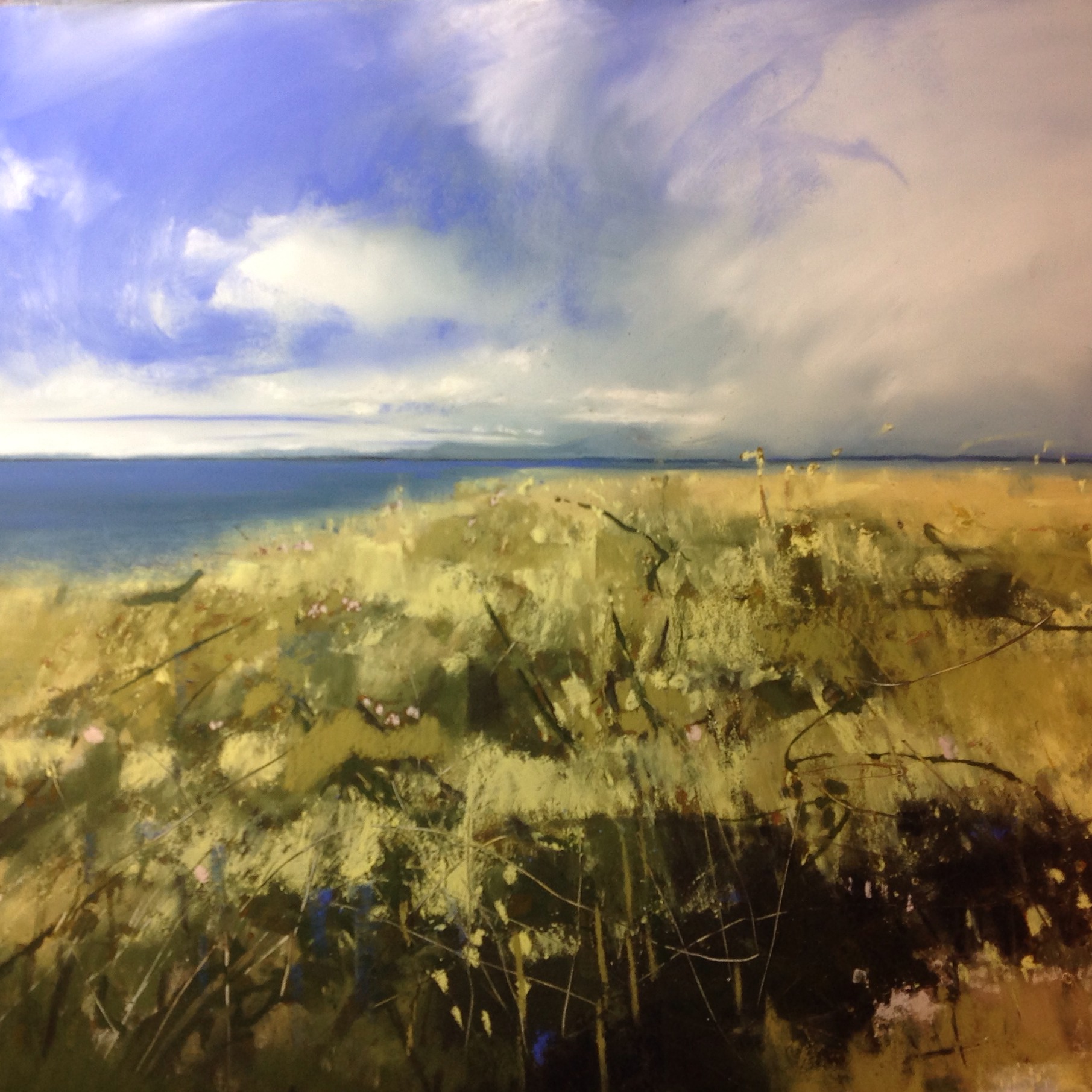 Foreshore Grass