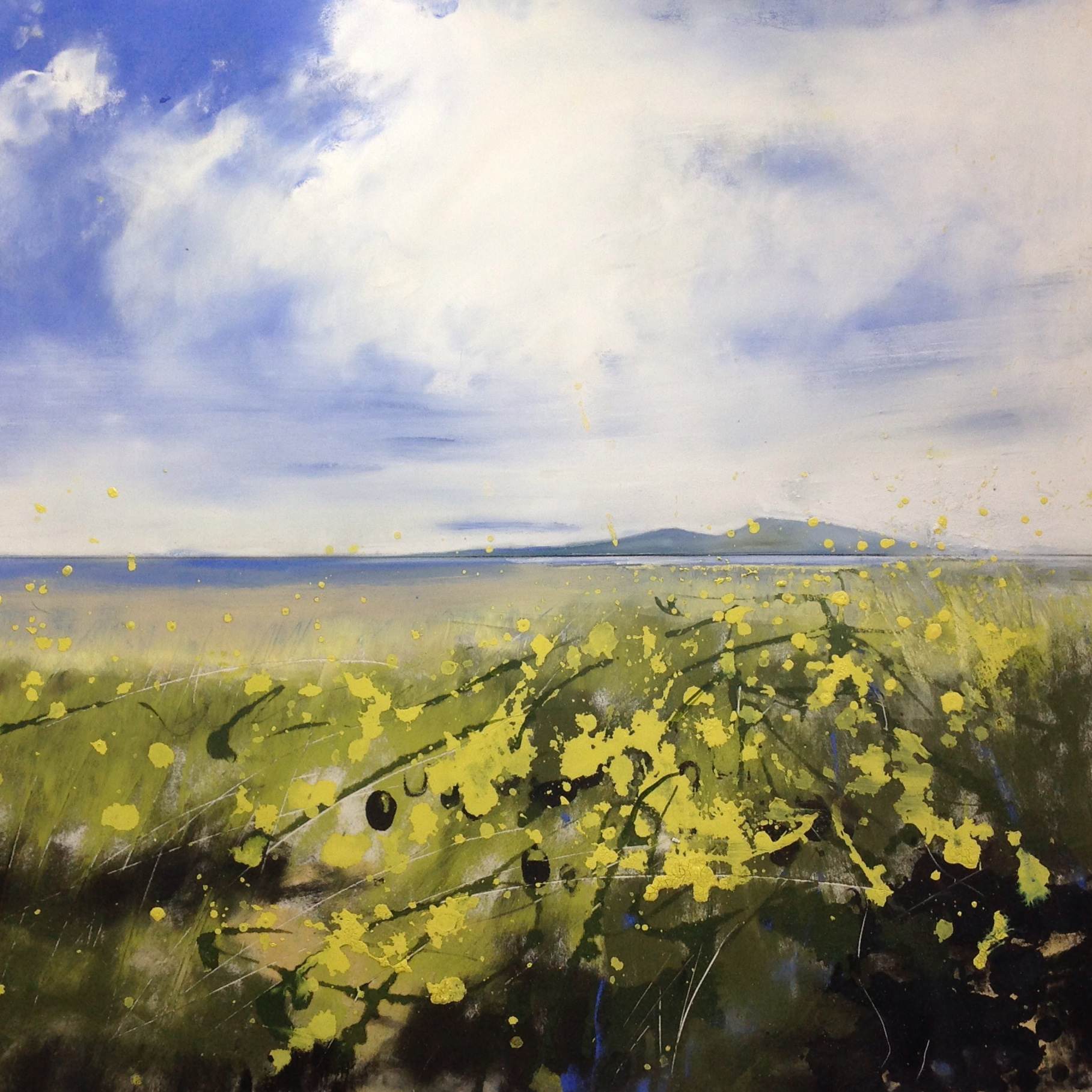 Rape seed shore