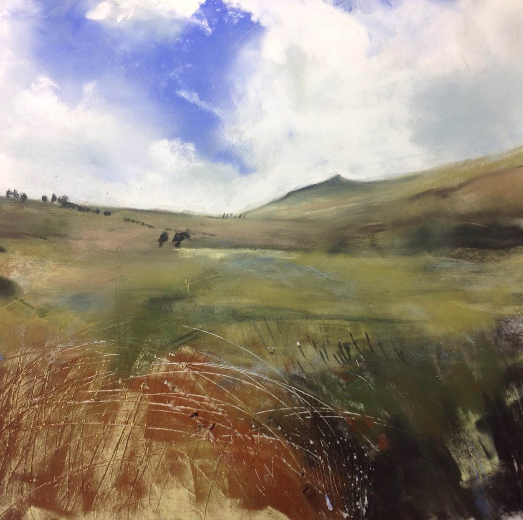 Summer glen