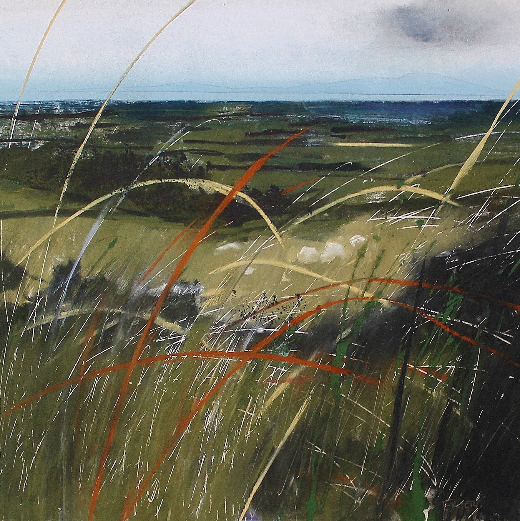 Grasses, Head End