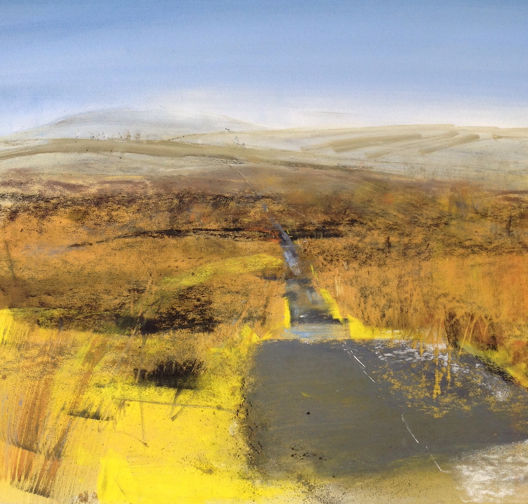 Melting frost, Caldbeck Common