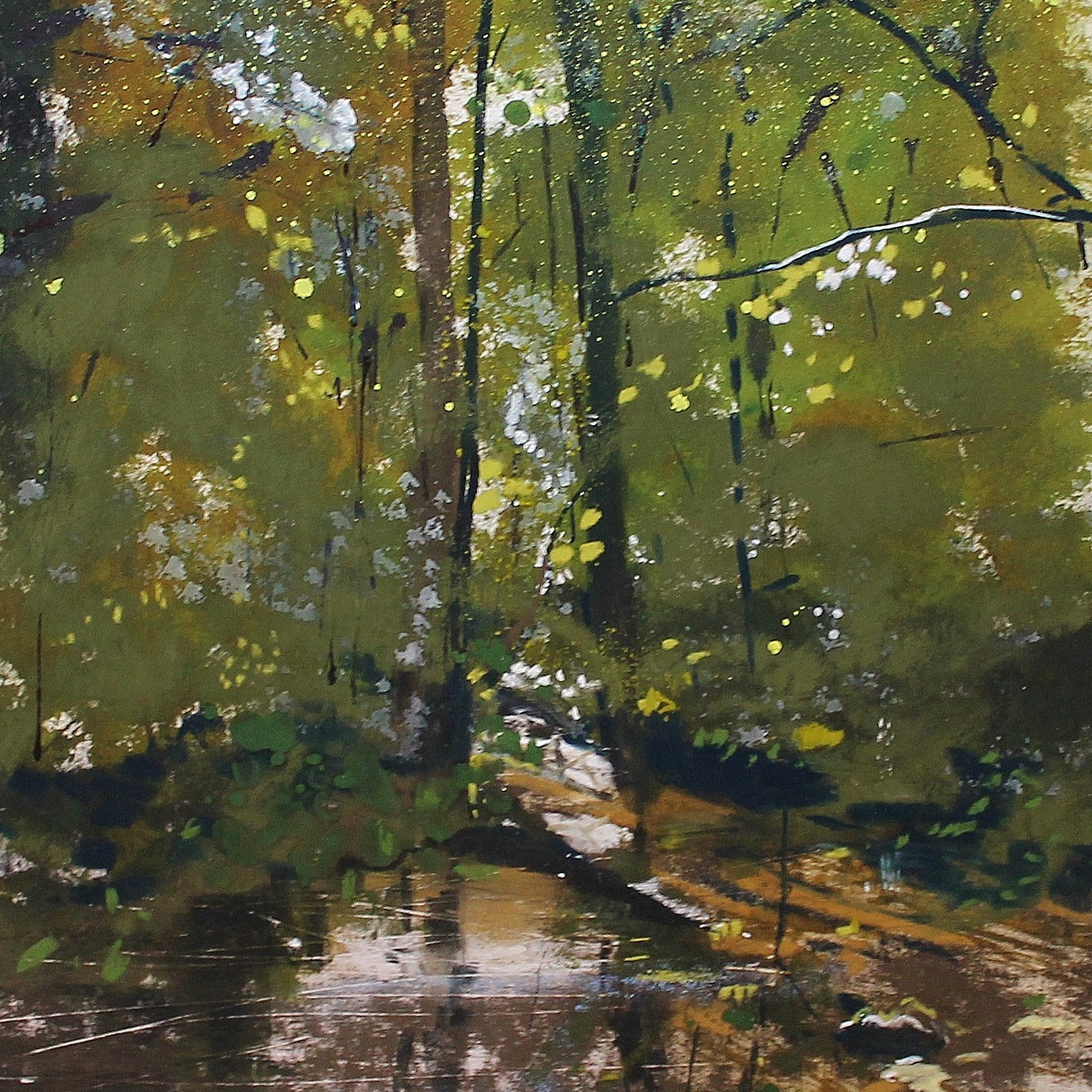 Cockshot Woods