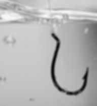 Fish Hook