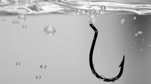 Is Social Engineering the easy way in?