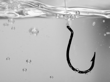 Is Social Engineering the easy way in?