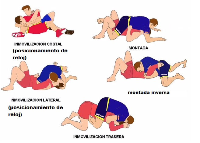 inmovilizaciones.jpg