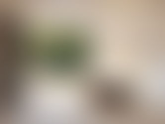 Топ-тренды дизайна интерьера 2025 для современных роскошных домов