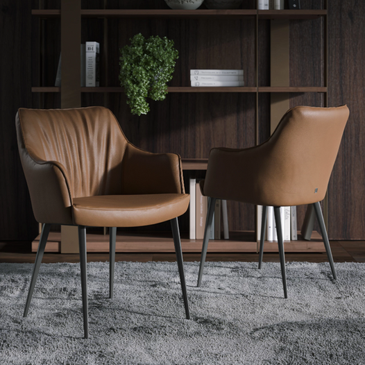 Kožna stolica sa rukonaslonom, elegantan dizajn. Alba Dominante