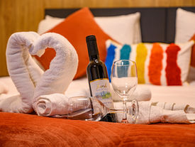 וילה ארבע עונות (49).jpg