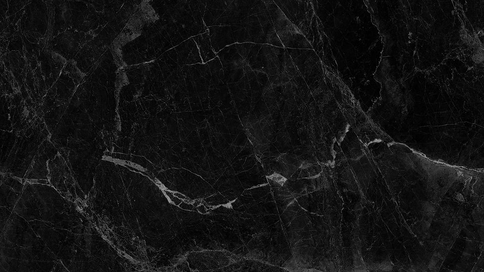 שווארמה התאומים