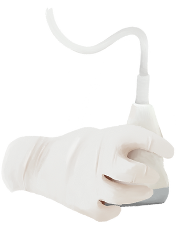 Hand mit Ultraschallsonde