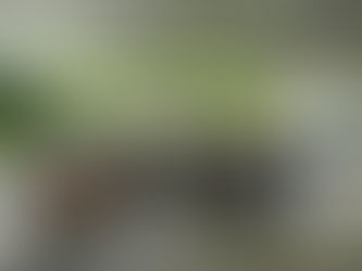 Sábado animado, muito obrigado!