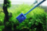 planted aquarium glass cleaning with scrubber