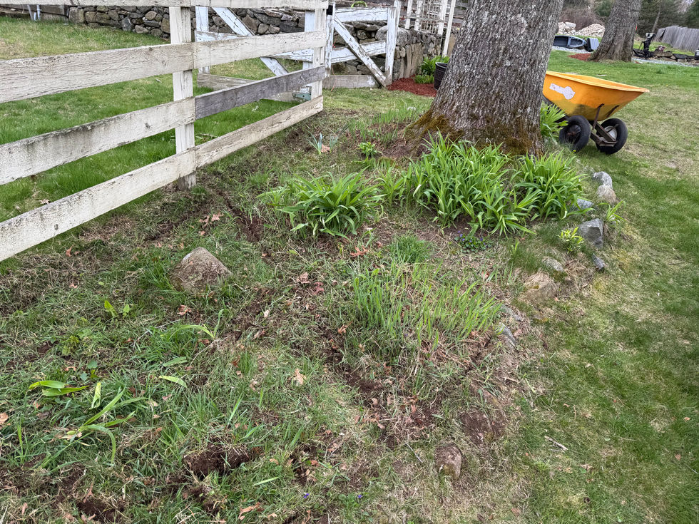 Before Mulch