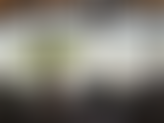 Charming Ranch Location