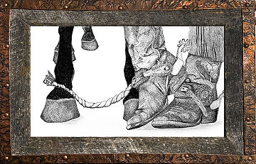 Hoof&Boots_Moc_Web.jpg