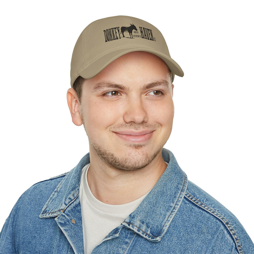 Thumbnail: Low Profile Baseball Cap