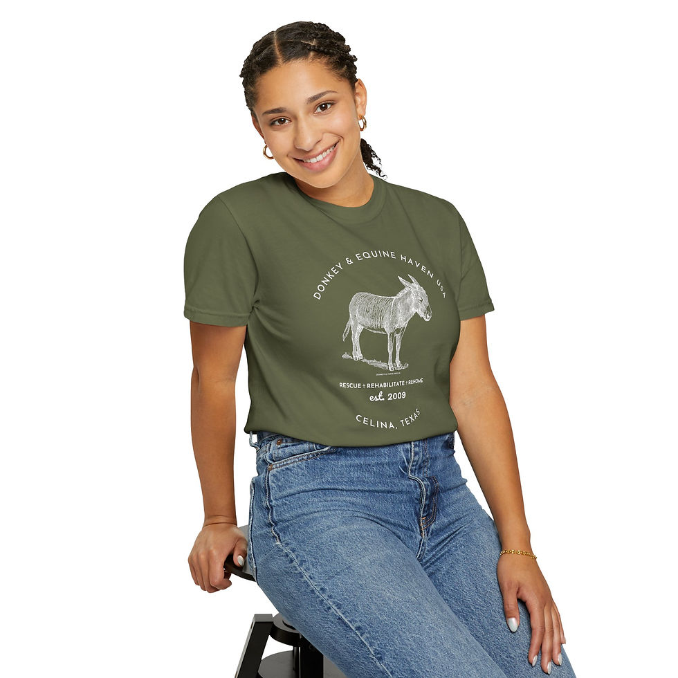 Thumbnail: Donkey Rescue Logo T-Shirt - Unisex Garment-Dyed