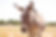 shutterstock_1744598936.jpg