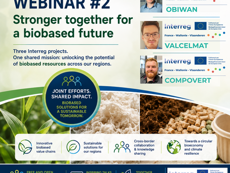 Publicatie van gezamenlijke Interreg webinar