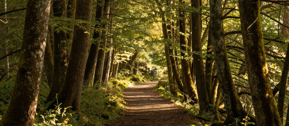 Embracing Mindfulness in Nature: How the Outdoors Brings You Back to Yourself