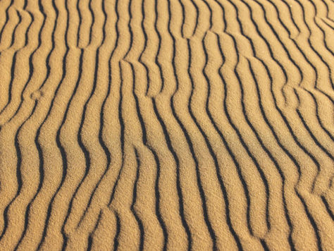 How Wind Shapes the Landscape