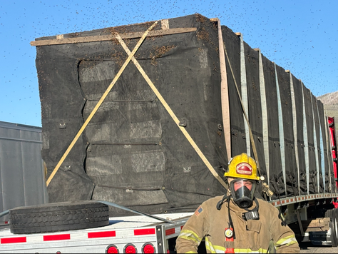 The Day Firefighters Saved 25 Million Bees