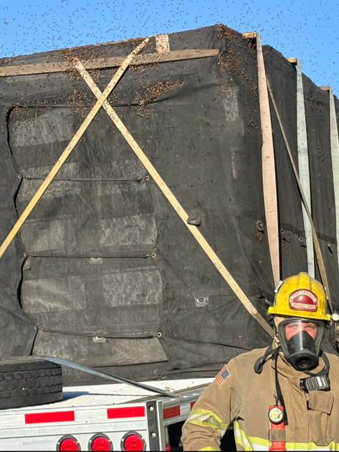 The Day Firefighters Saved 25 Million Bees