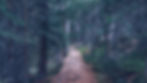 AEnB2UokPYj3Twiu6nlvF-tC-rTwS_48OB-HM-ND