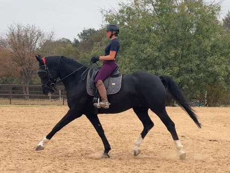 Embracing the Journey: My Dressage Progress After Hip Surgery