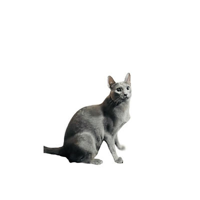581FCE6B-A1BE-4CB2-B95B-DE70322E2EAB_1_102_o.jpeg