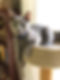 027829D9-2718-4302-AC9D-5EAA0EF388CE.jpeg