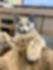 IMG_2476.jpeg