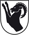 wappen_interlaken-e1350473245708.jpg