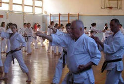 6. Karate seminar Dr Vladimira Jorge 29 i 30. 03. 2014..jpg