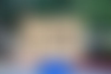 Whose Pronouns Are They?