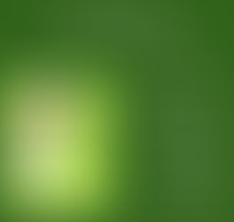 Erin is Taking It to the Streets