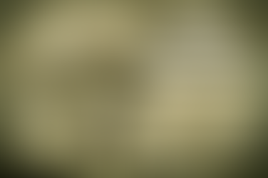 Looking For a Few Good (Trans) Men & Women