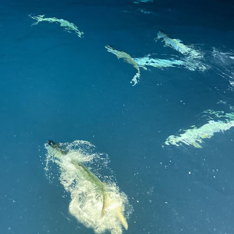 fishing products.jpg