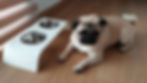 misky3