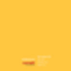 Flower Yellow
